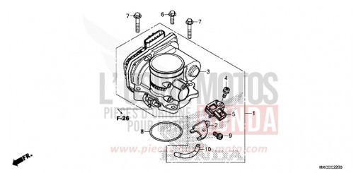 CORPO FARFALLATO GL1800DAK di 2019